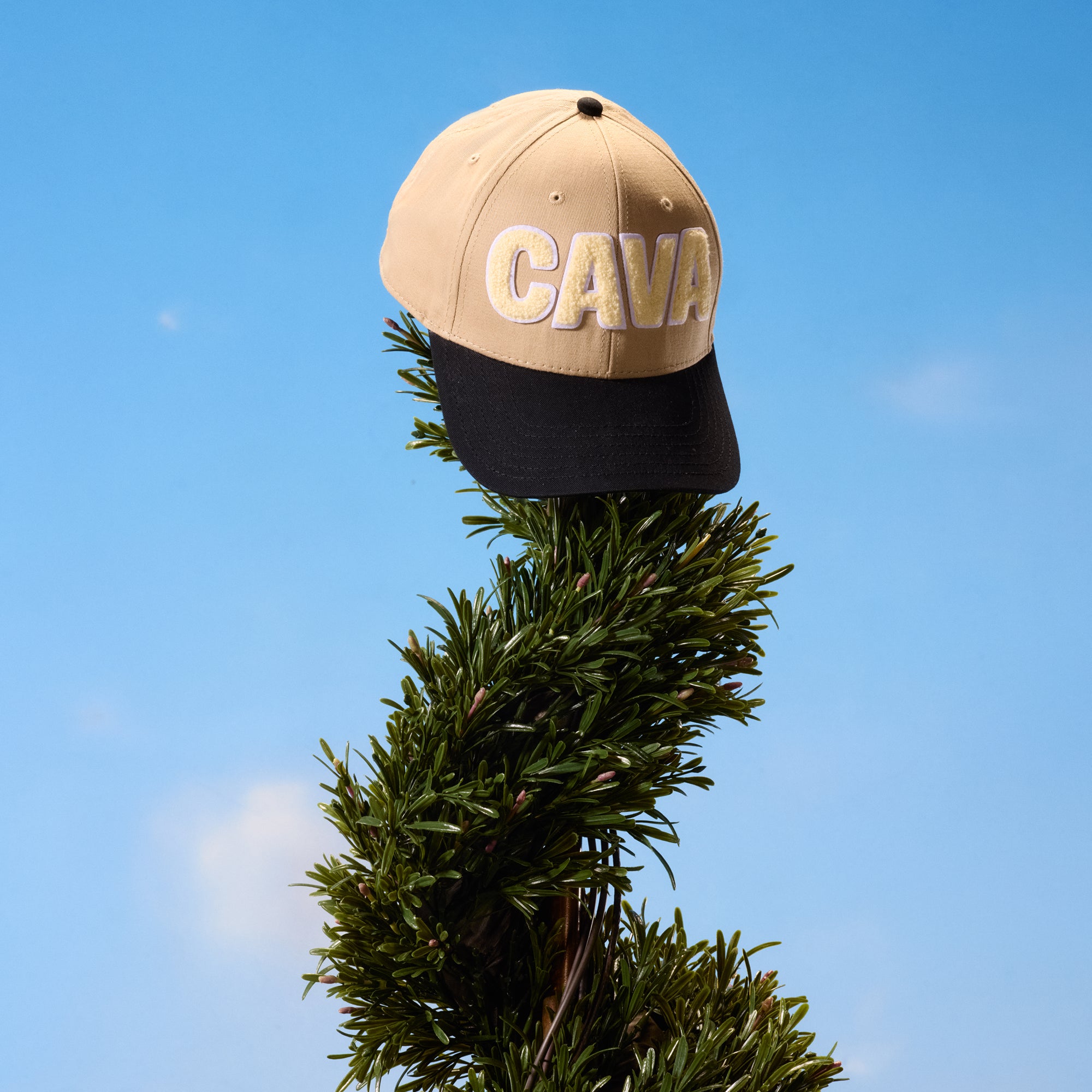 CAVA Hat
